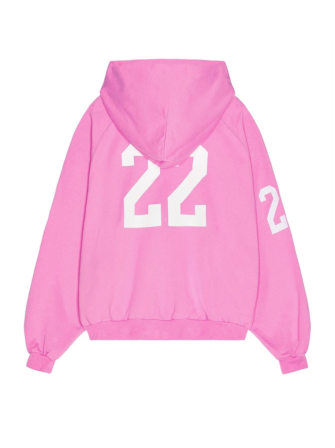 Balenciaga warhorse Polo Distressed Zip up Hoodie