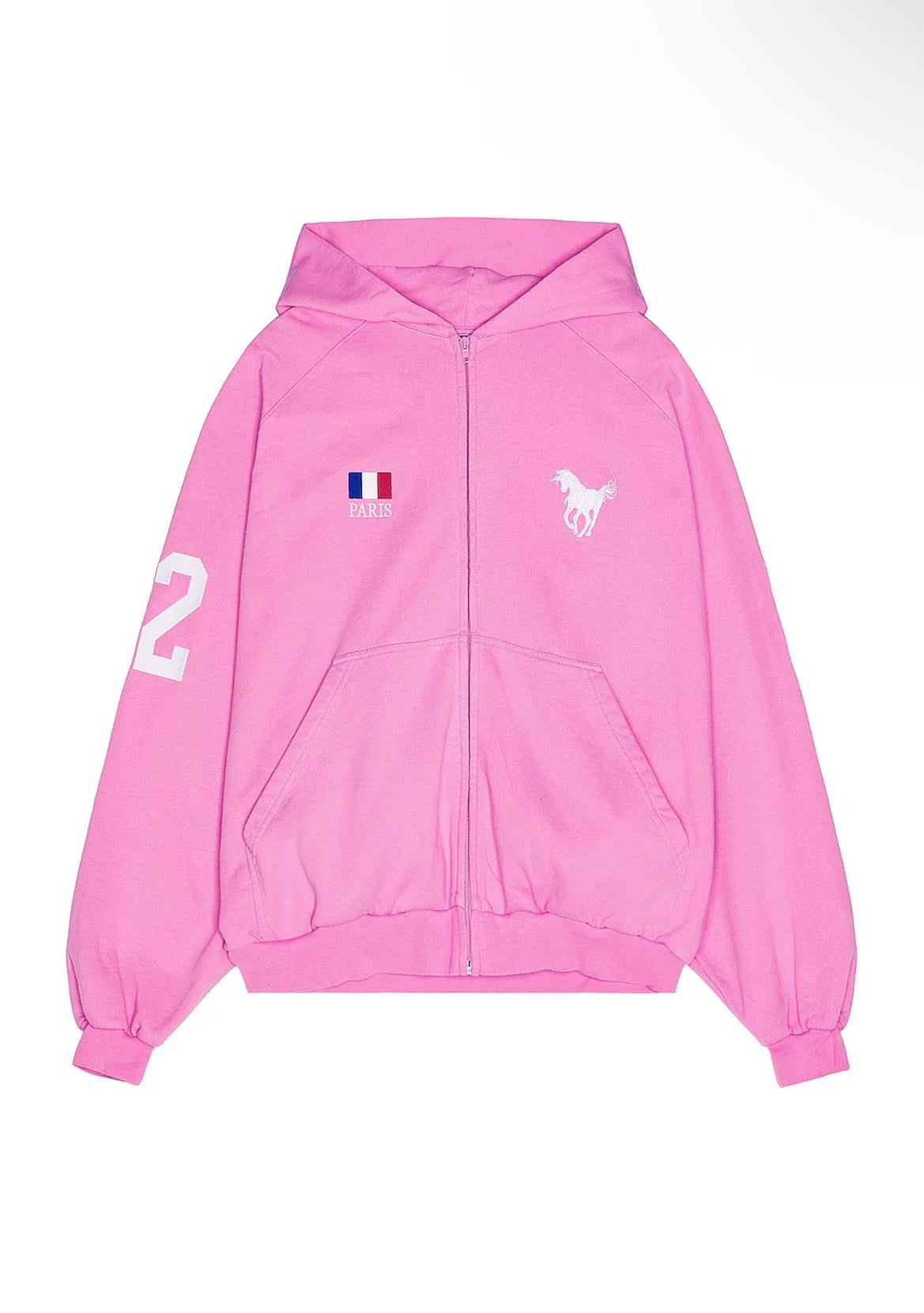 Balenciaga warhorse Polo Distressed Zip up Hoodie