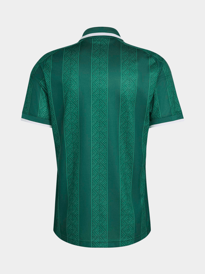 Adidas South Africa Bafana Away World Cup 26 Green Stadium Jersey